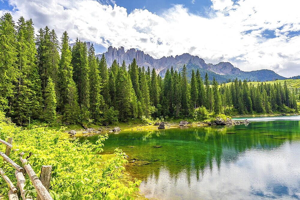 Emerald waters reflecting latemar mountain range and lush forest in the italian dolomites on a beautiful summer day