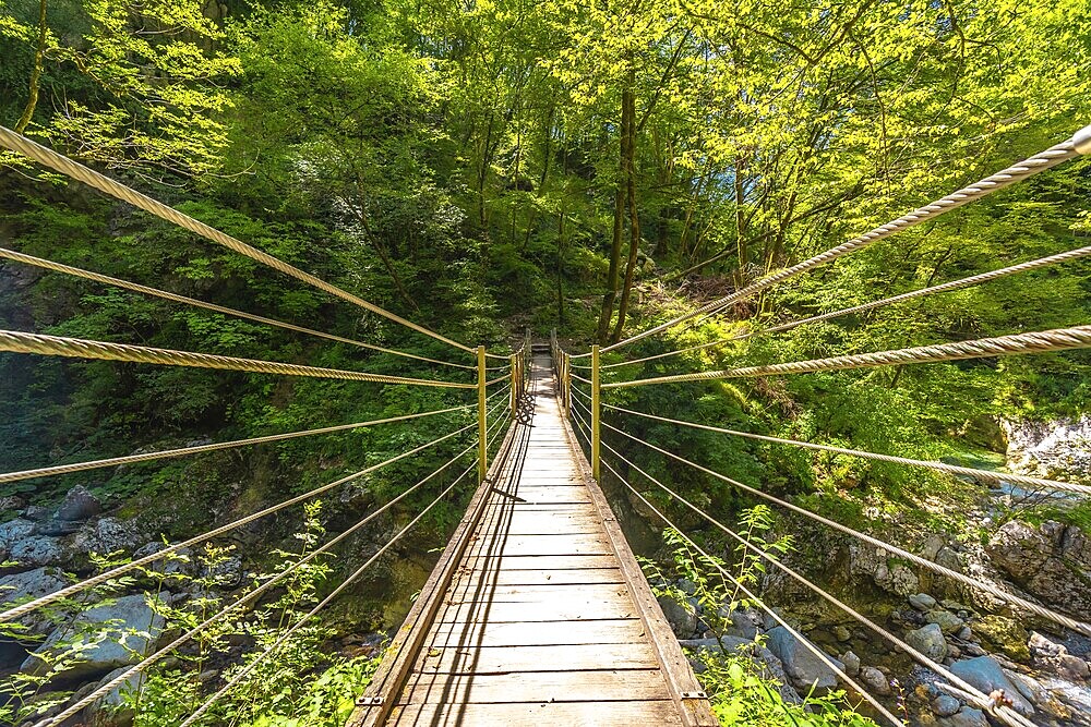 Wooden suspension bridge crossing over a clear stream in tolmin gorge, slovenia, surrounded by lush green foliage on a sunny summer day