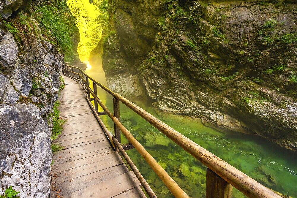 Scenic wooden walkway winds through vintgar gorge, showcasing stunning emerald waters and lush canyon walls in slovenia