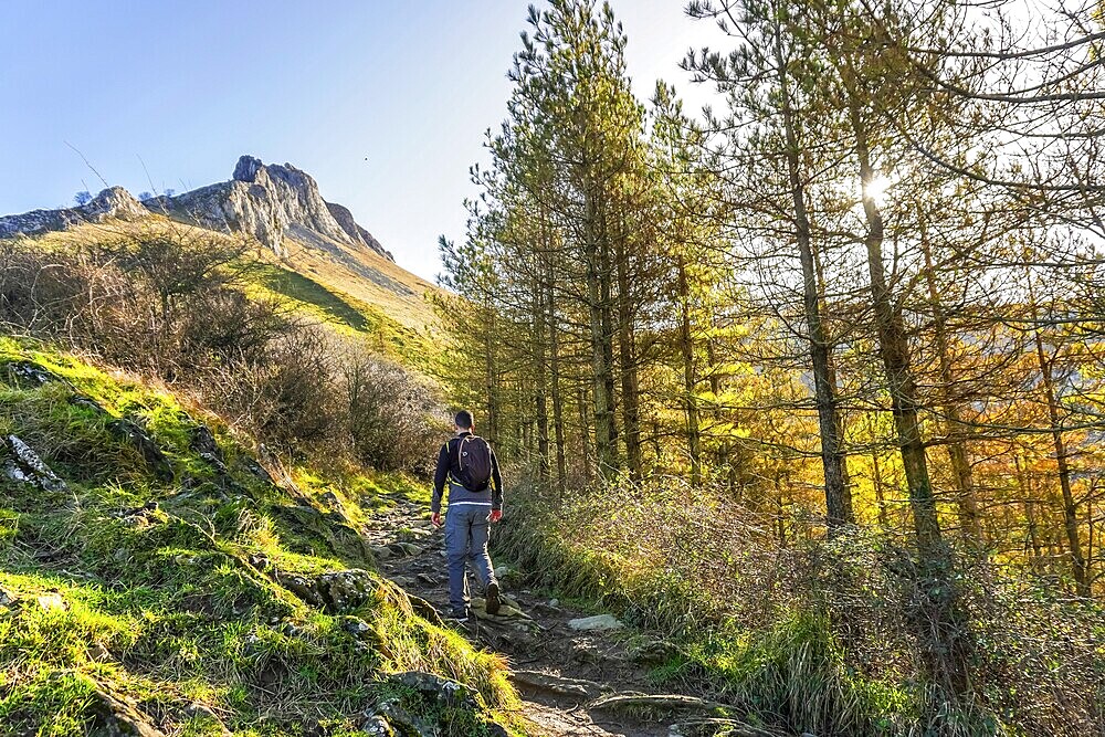 Hiker navigating a forest trail towards the majestic peak of mount txindoki, surrounded by lush greenery and vibrant sunlight in gipuzkoa