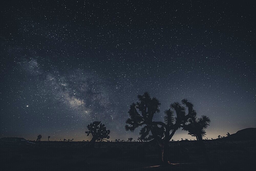 Starry sky with the Milky Way in Joshua Tree National Park