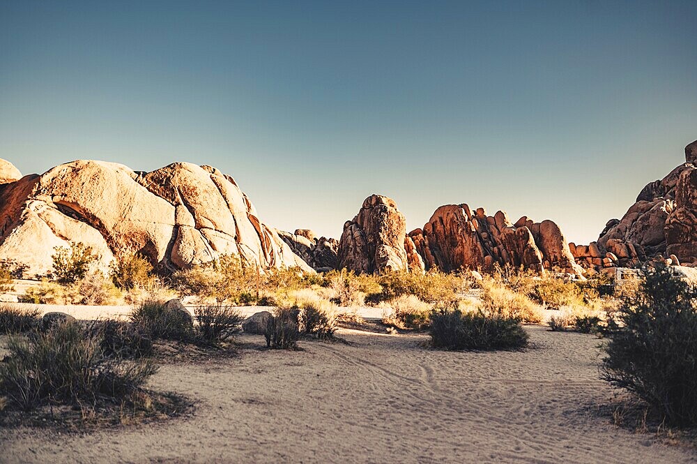 Joshua Tree National Park
