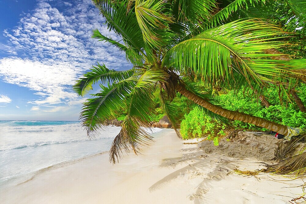 The Beach Anse Georgette at Praslin Island, Seychelles, Indian Ocean, Africa