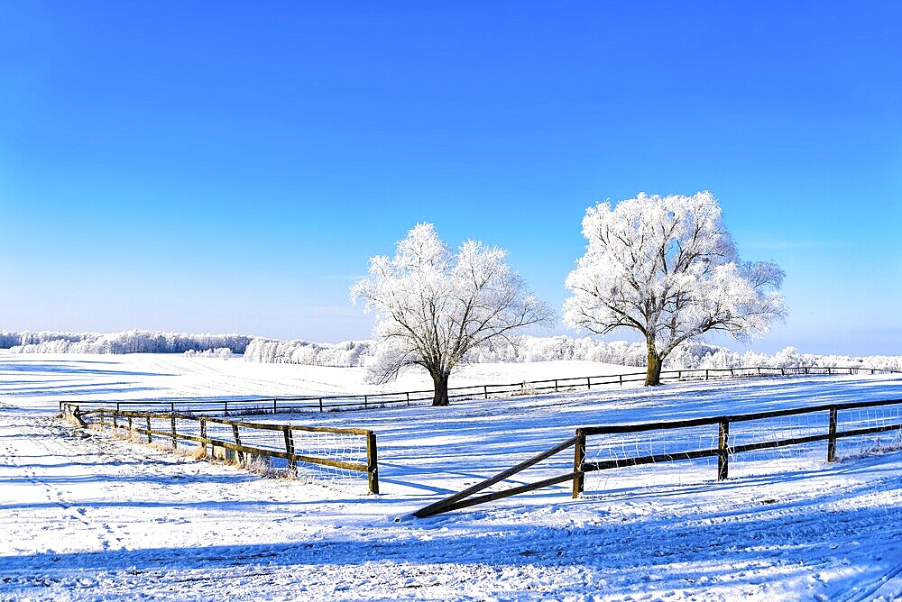Snow-covered landscape in winter in Masuria in eastern Poland