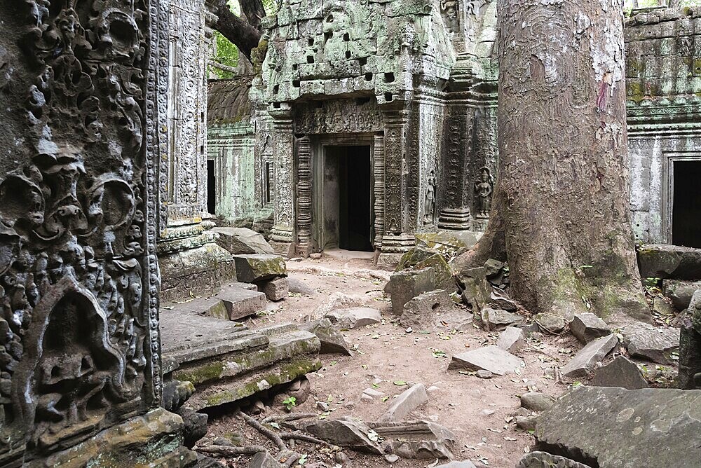 Enchanted temple city, jungle temple, mystical, Ta Prohm, Buddhist temple complex, UNESCO World Heritage Site, Angkor Wat, Siem Reap, Cambodia, Southeast Asia, Asia