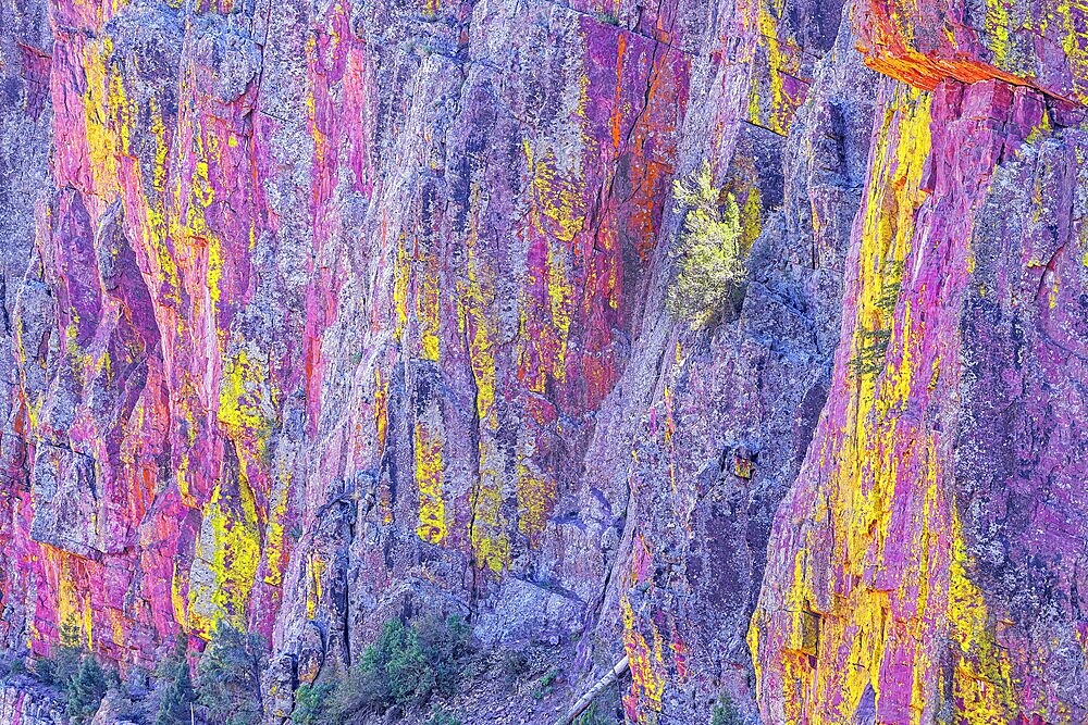 Multicoloured canyon wall, Coconino National Forest, Arizona, USA, North America