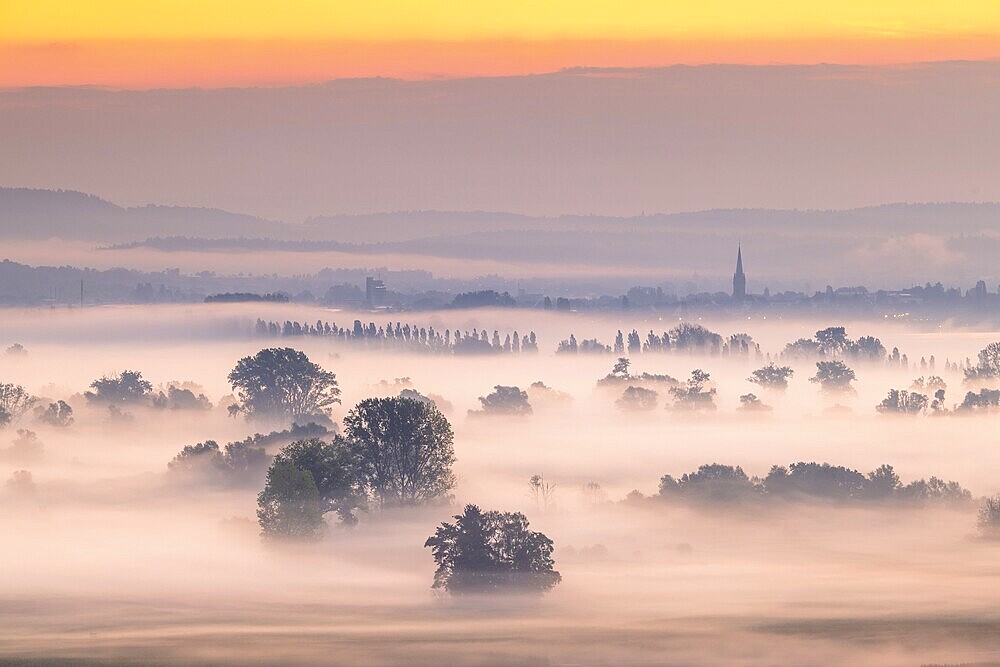 Morning scene at sunrise with misty fields, trees and cathedral tower in the background, Galgenberg, Aachried, Radolfzell, Lake Constance, Baden-Württemberg, Germany, Europe