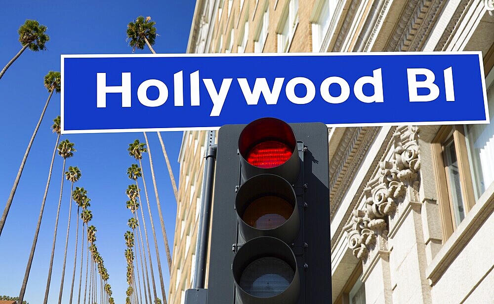 Hollywood Boulevard redlight sign illustration on palm trees background