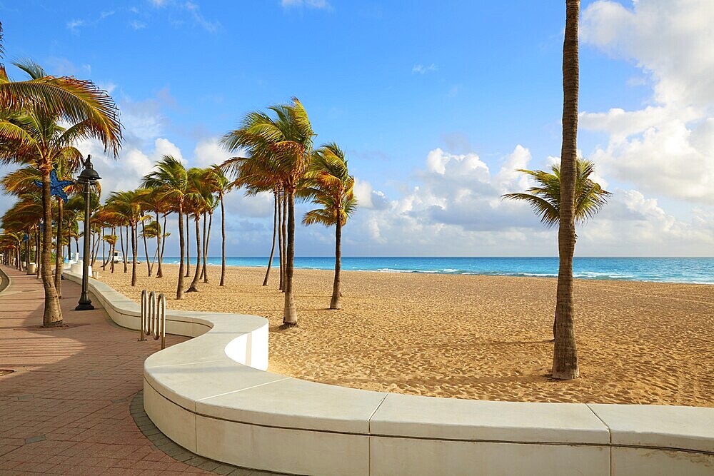 Fort Lauderdale beach morning sunrise in Florida USA palm trees