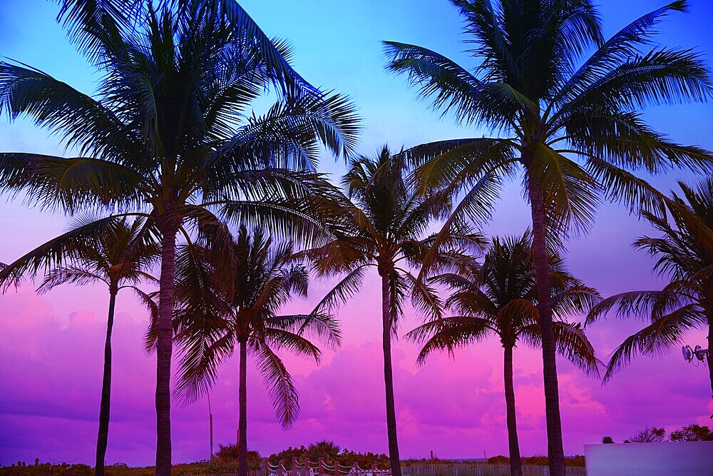 Miami Beach South Beach sunset palm trees in Ocean Drive Florida
