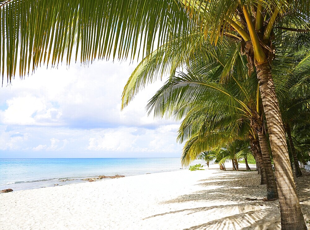Cozumel island beach in Riviera Maya of Mayan Mexico