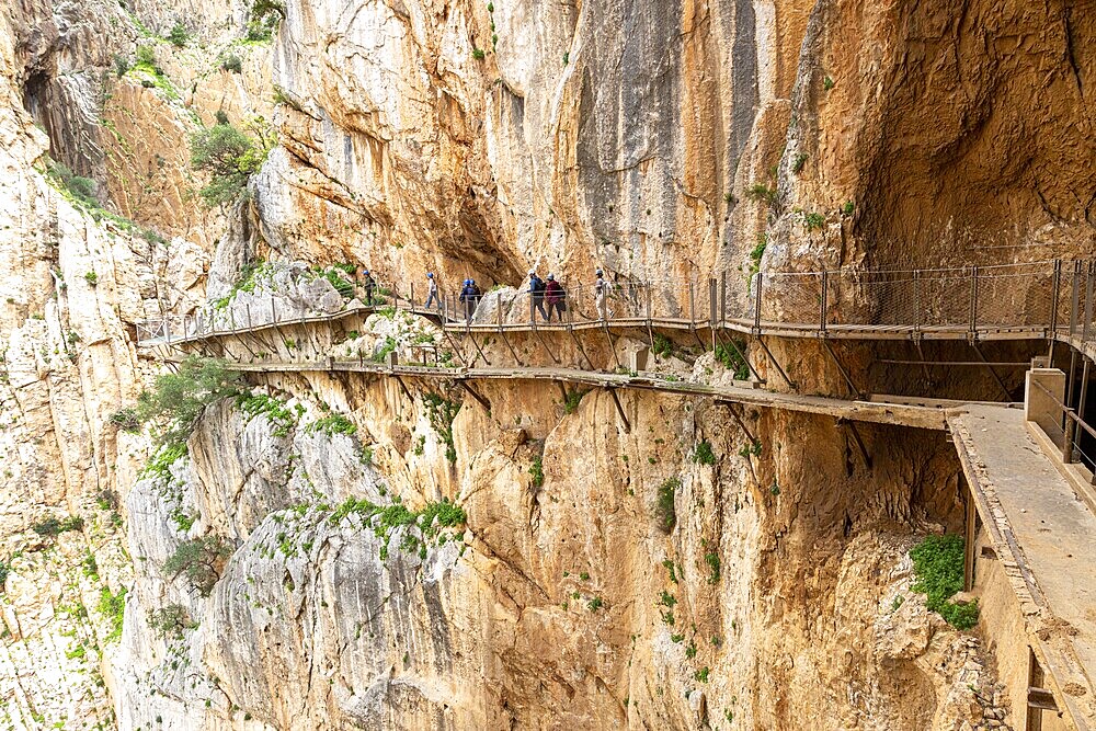 People walking on the narrow Caminito del Rey path that runs along a dramatic cliff face, Malaga, Spain, Europe