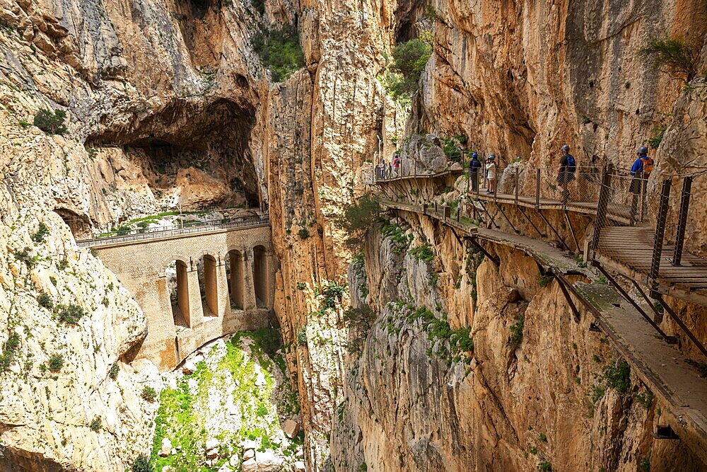 View of a viaduct and hikers on the Caminito del Rey path, embedded in a rocky gorge, Malaga, Spain, Europe