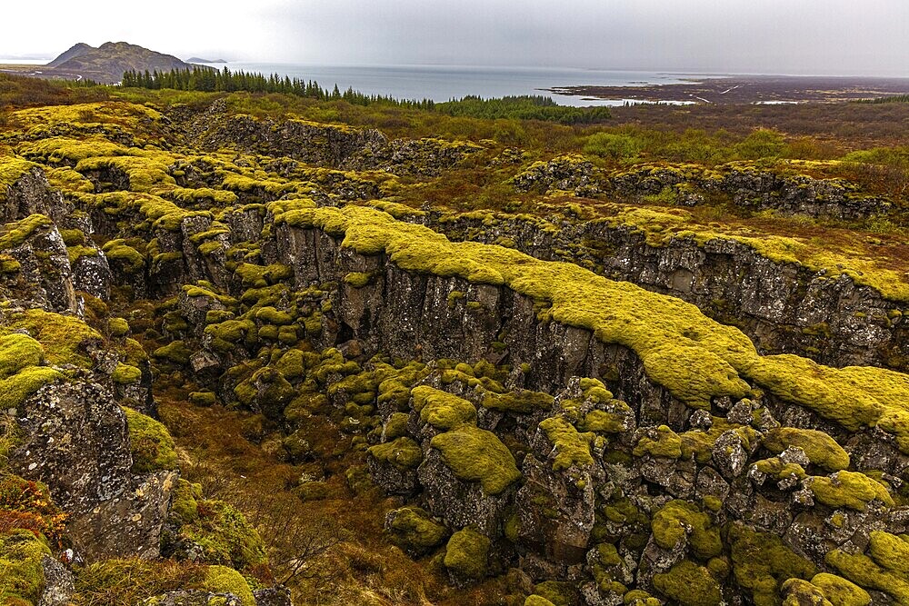 Thingvellir viewpoint, Iceland, Europe