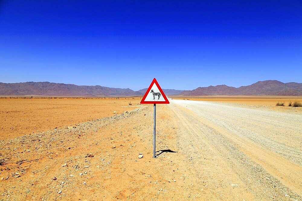 Sign Zebras cross a gravel track in the Namibrand Nature Reserve in Namibia