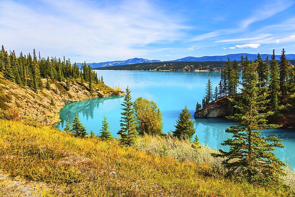 Indian summer in Canada, warm sunny day in autumn. Abraham Lake is the most beautiful lake in the Rockies. The concept of ecological and active tourism
