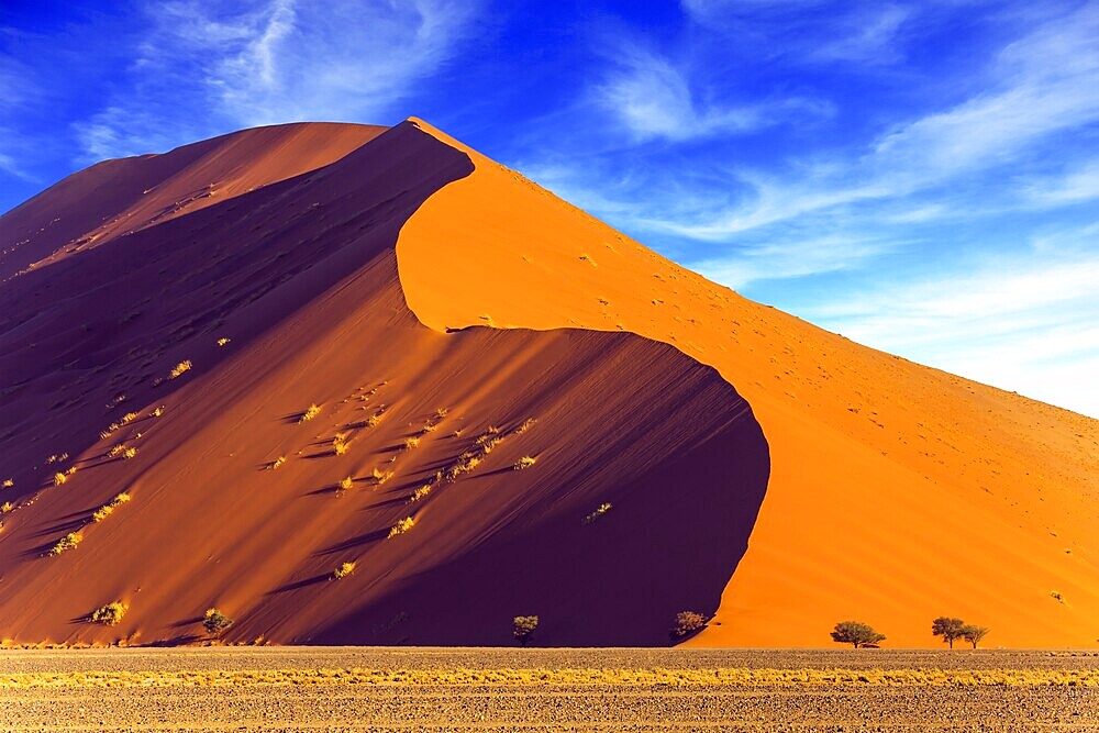 Namibia, South Africa. The concept of extreme and exotic tourism. Sharp border of light and shadow over the crest of the dune. The Namib-Naukluft at sunset