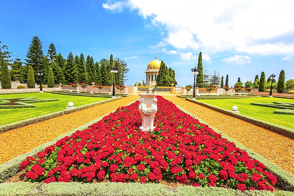 Luxurious flower bed with bright red flowers. Bahai World Center. Pilgrimage center and popular tourist destination. The slope of Mount Carmel. Haifa, Israel