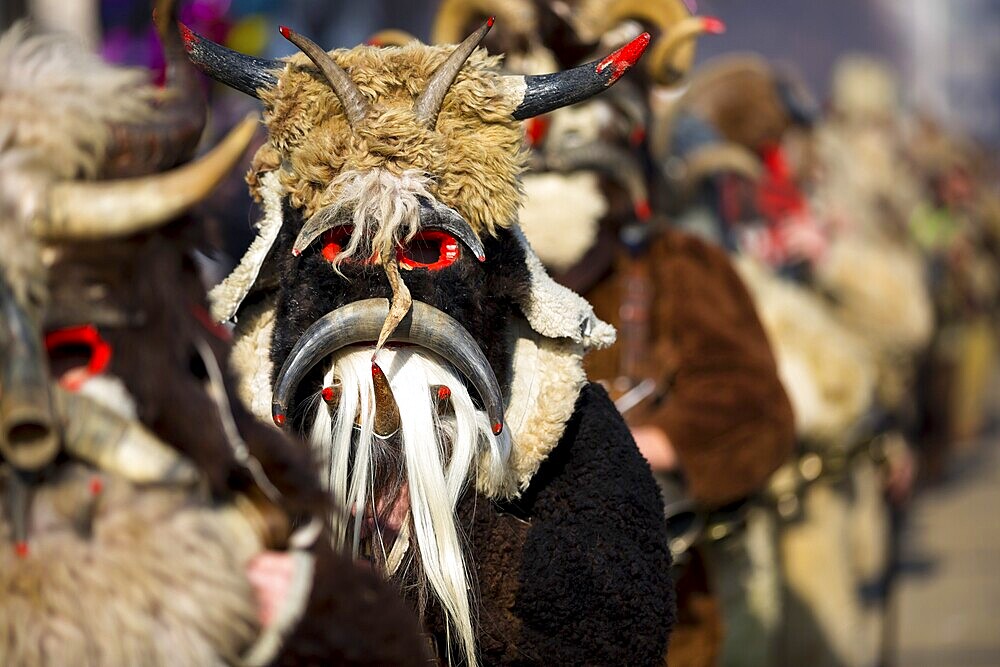 Participants take part in the International Festival of Masquerade Games Surva. The festival promotes variations of ancient Bulgarian and foreign customs and masks. Kukeri