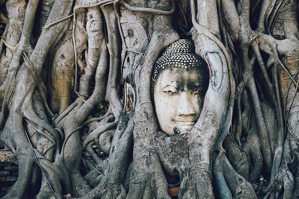 Buddha statue trapped in tree roots at Wat Maha That, Ayutthaya, Thailand