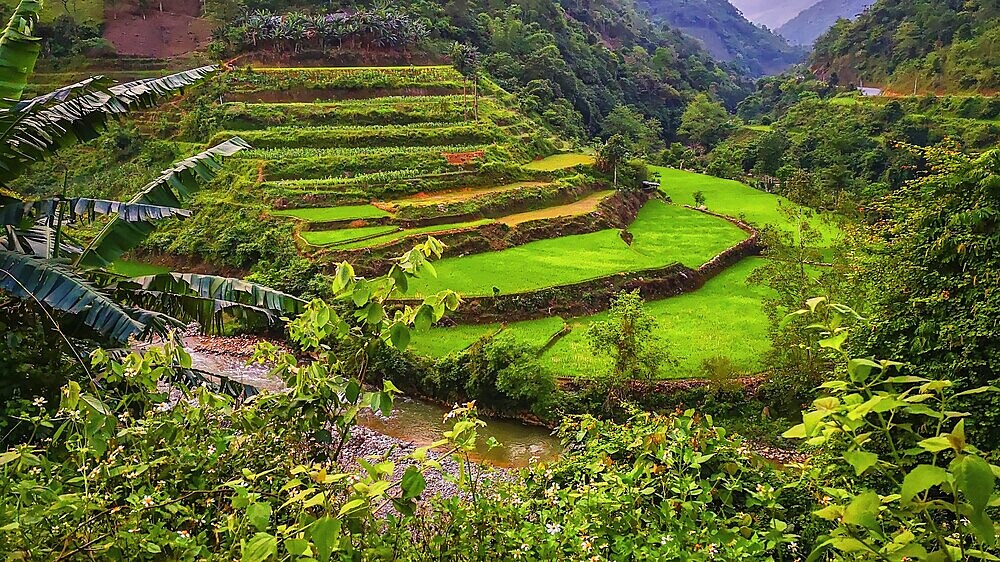 Typical Vietnamese landscape in spring with green vegetation