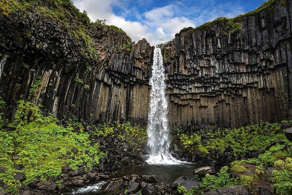Svartifoss waterfall in the Skaftafell National Park Iceland during a summer day