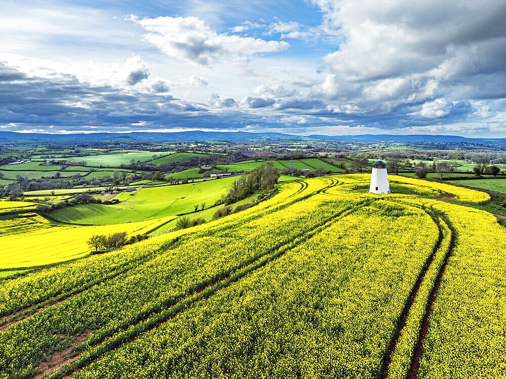 Rapeseed fields and Farms over Devon Windmill from a drone, Torquay, Devon, England, United Kingdom