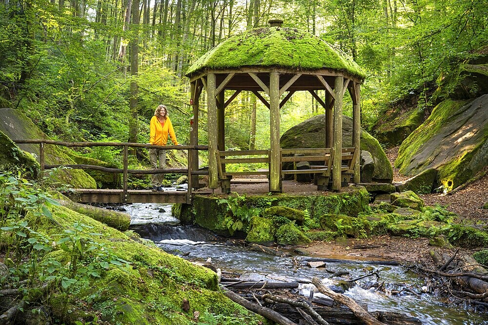 Hiker in the pavilion, the Moosalb stream in the forest in the Karlstal Gorge. Karlstal Gorge nature reserve, Karlstal, Palatinate Forest, Rhineland-Palatinate, Germany