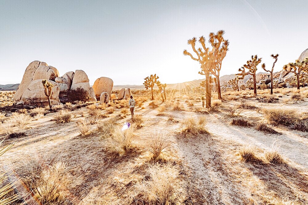 Woman at sunset in Joshua Tree National Park