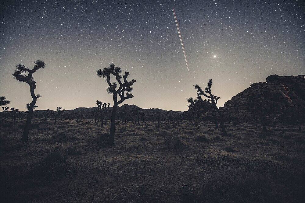 Starry sky in Joshua Tree National Park