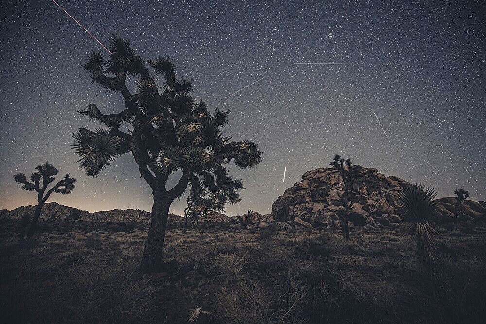 Starry sky in Joshua Tree National Park