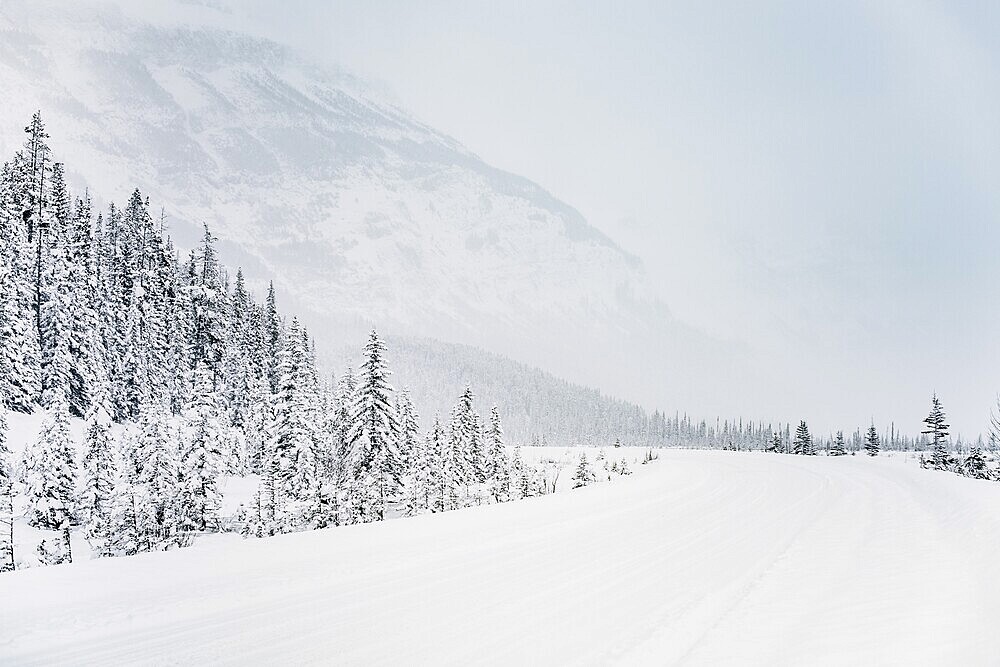 Winter road trip on the Icefields Parkway with lots of snow and ice, Banff National Park, Jasper National Park, Alberta, Canada