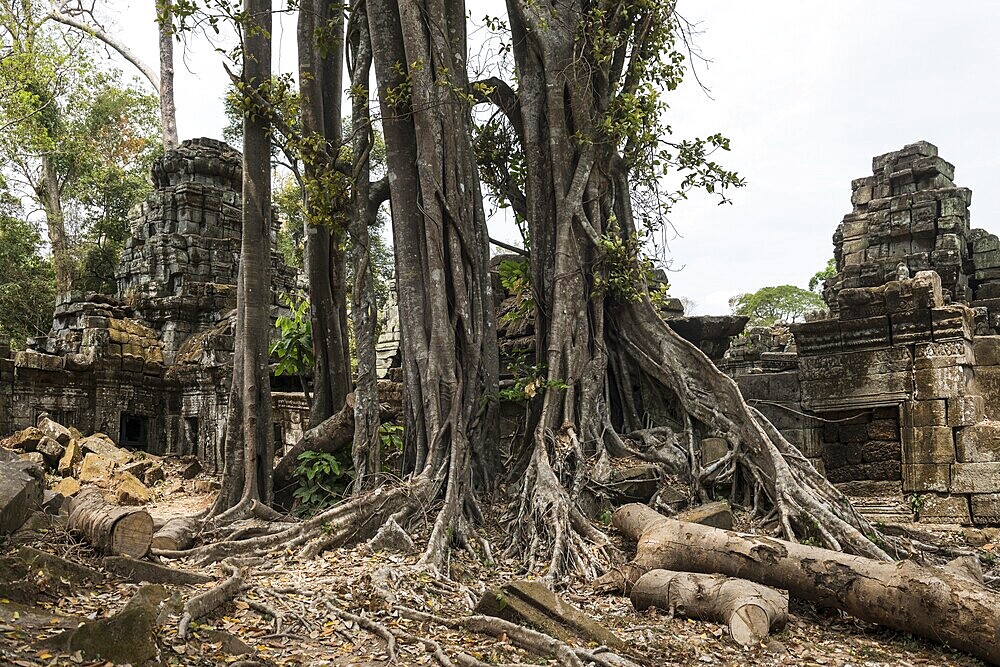 Prea Khan, Angkor Wat, Angkor, UNESCO World Heritage Site, Siem Reap, Cambodia, Indochina, Southeast Asia