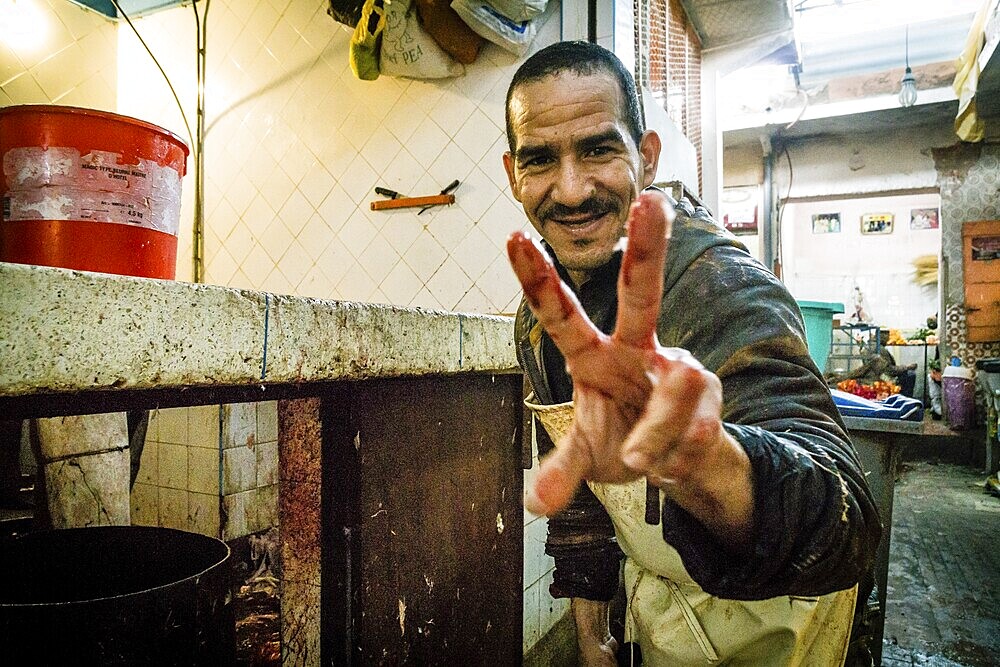 Killing of chickens, souk of Marrakech, Morocco, north of Africa, African continent