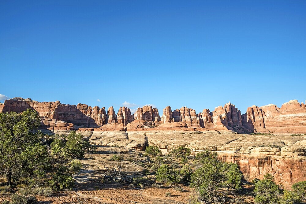 Pinnacles, rock formations The Needles District, Canyonlands National Park, Utah, USA