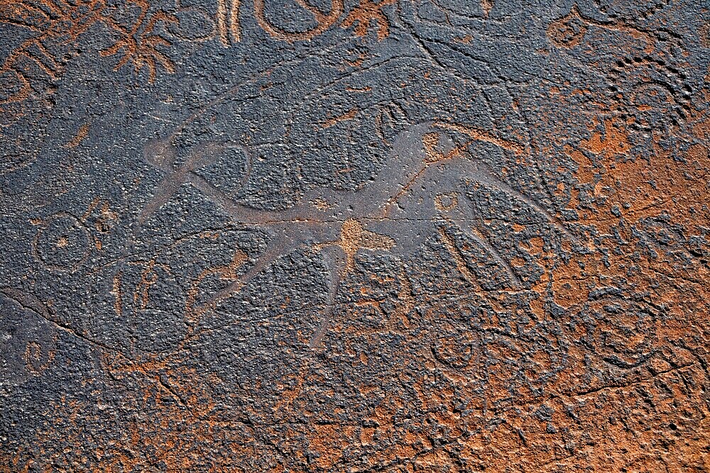 Detail, Depictions of animals and patterns on a rock slab, petroglyphs, rock engravings, Twyfelfontein, Kunene, Namibia