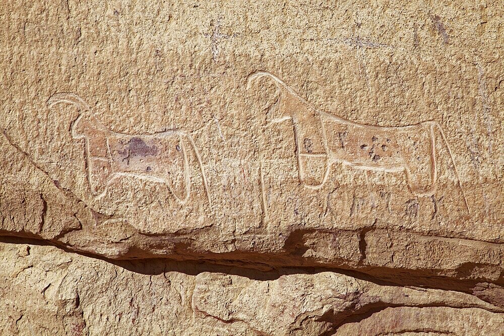 Prehistoric rock carving, goats, Desert, Wadi Rum, Jordan