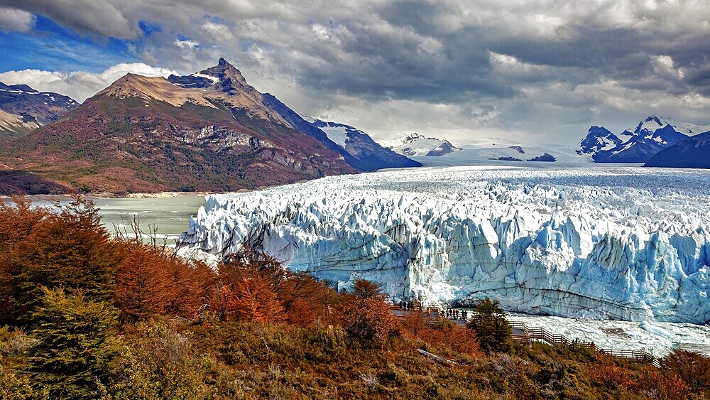 Imposing glacier front in a majestic mountain landscape with autumnal trees and dramatic skies, The Perito Moreno glacier in Argentina