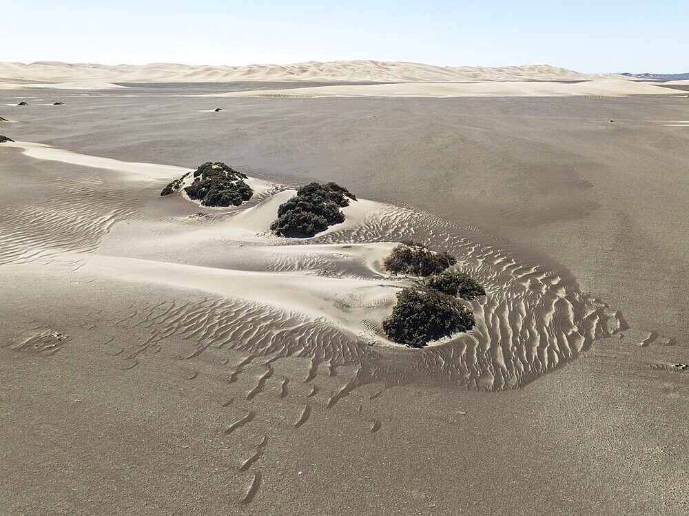 Small sand heaps form around the sparse vegetation in the Namib Desert. Aerial view. Drone shot. Skeleton Coast National Park, Namibia