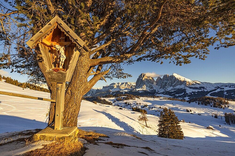 Alpe di Siusi at the Contrin hut, Alpe di Siusi, South Tyrol, Italy