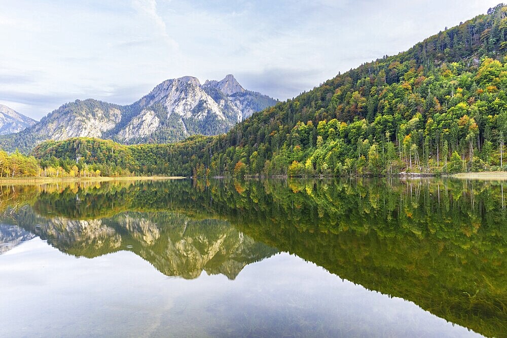 Schwansee, near Hohenschwangau, Romantic Road, behind it the Pilgerschrofen and the Säuling, Ammergau Alps, Ostallgäu, Bavaria, Germany