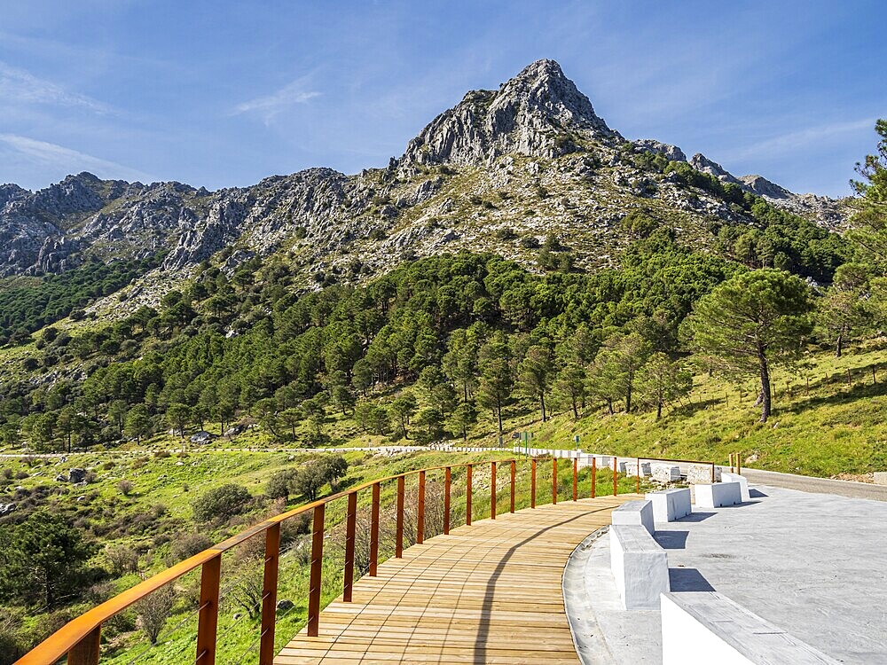 Mountain road, Sierra de Grazalema, Andalusia, Spain