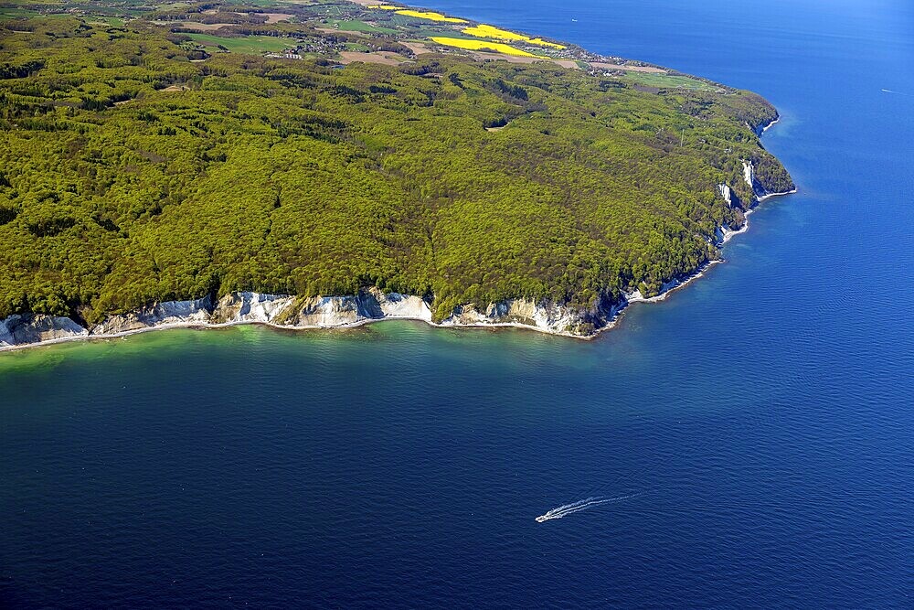 Chalk coast near Sassnitz, Island of Rügen, Jasmund National Park, Mecklenburg-Western Pomerania, Germany, aerial photo from a small aircraft, 27.04.2025  Chalk coast near Sassnitz, Jasmund National Park, Mecklenburg-Western Pomerania, aerial photo from a small aircraft, April 27, 2025 ++ Minimum fee 50, - euro ++