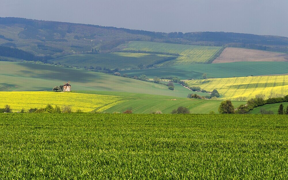 Rural abstract landscape with rolling hills and windmill in South Moravia, Czech Republic