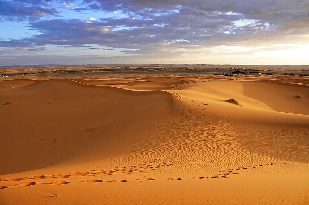 Endless sand dune landscape with footprints in the soft desert sand, sand dunes of Erg Chebbi, Erfoud, Middle Atlas, Morocco