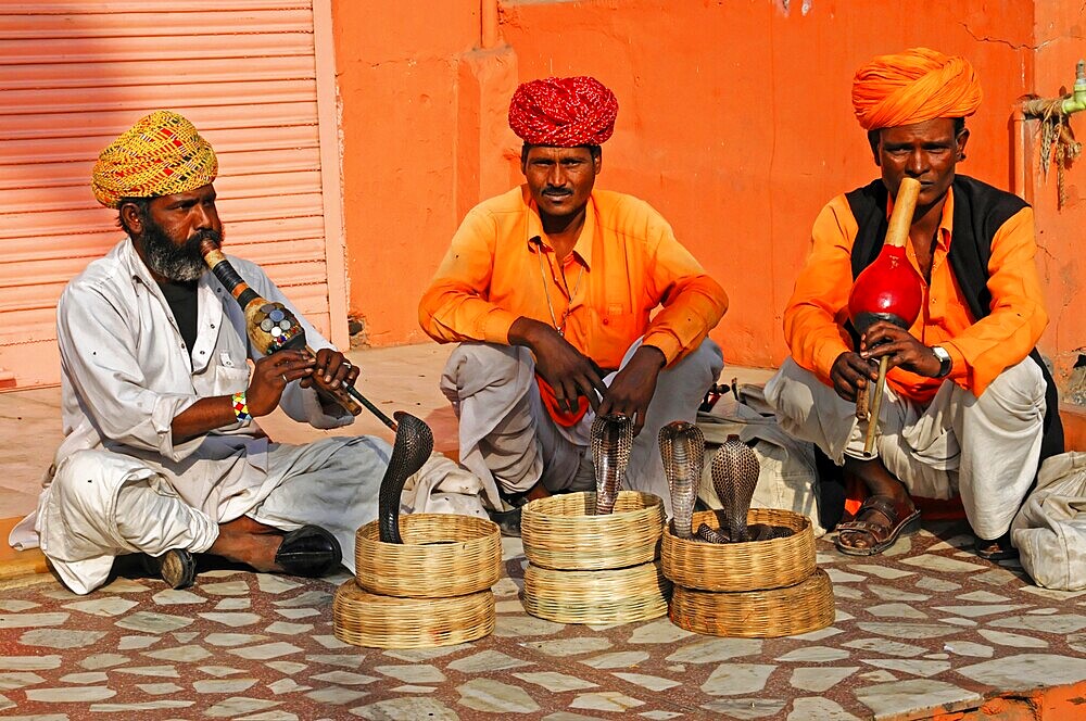 Jaipur, Rajasthan, North India, India, Asia, Three men with snakes in baskets, dressed in colourful traditional clothes
