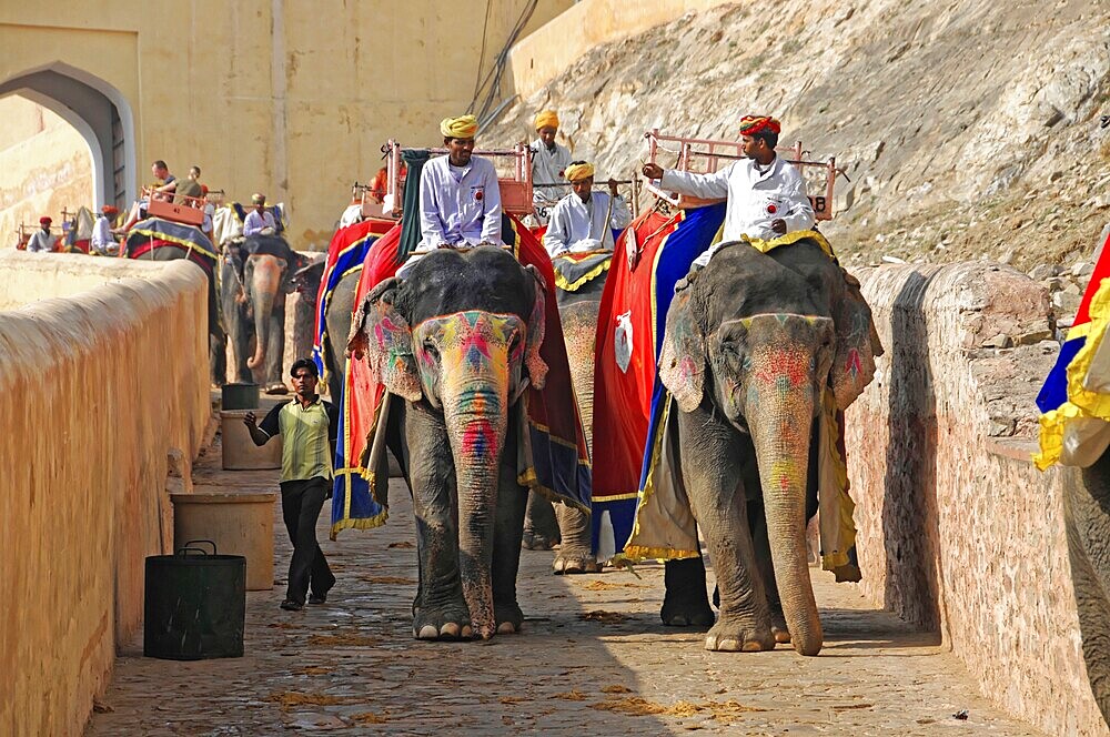 Fort Amber, Amber, near Jaipur, Rajasthan, North India, India, Asia, parade with elephants on historical path, bright colours, people dressed