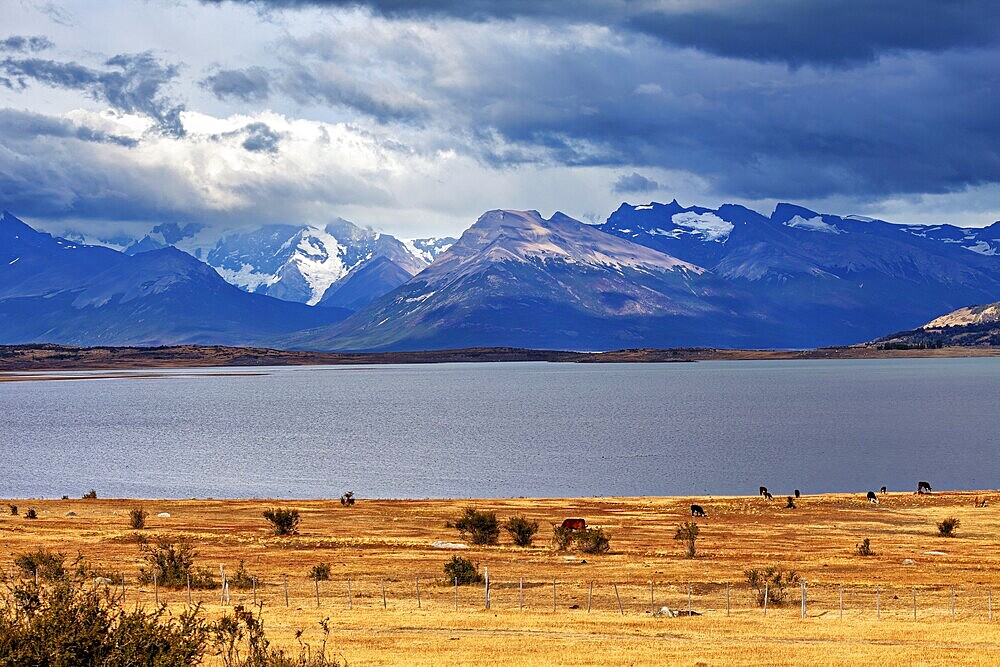The peaceful, wide lake surrounded by mountains under a dramatic sky, The Patagonian landscape near El Chalten in Argentina