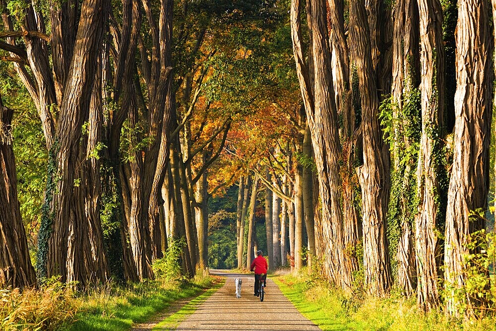 Cyclist with dog at his side, Lochem, Netherlands