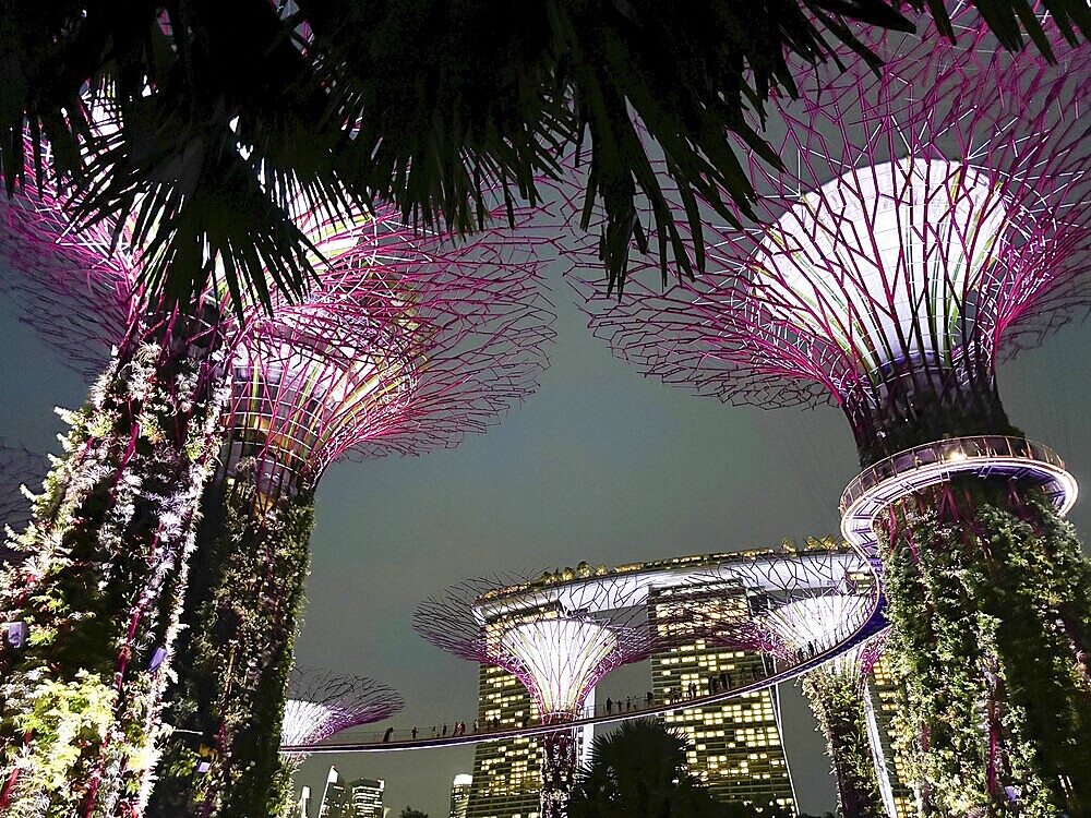 Illuminated supertrees at night with futuristic atmosphere and surrounding urban nature, singapore, aisia
